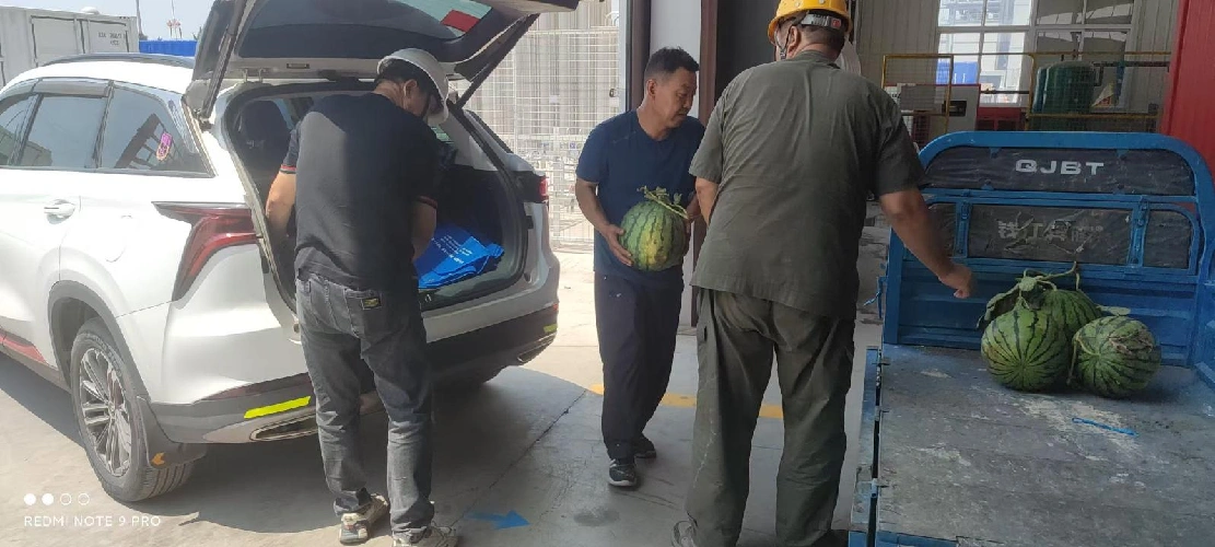 Afsendelse af kølighed i svulmende sommer, forene bestræbelserne på at bekæmpe ekstrem varme